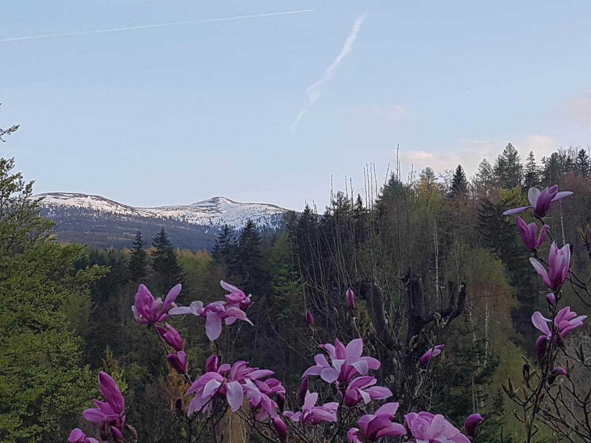 Skaly Spaly Przesieka Buitenkant foto